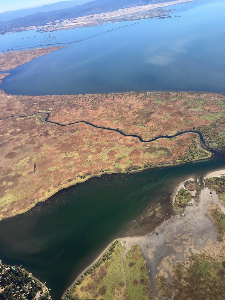 Lago Klamath y alga AFA Klamath