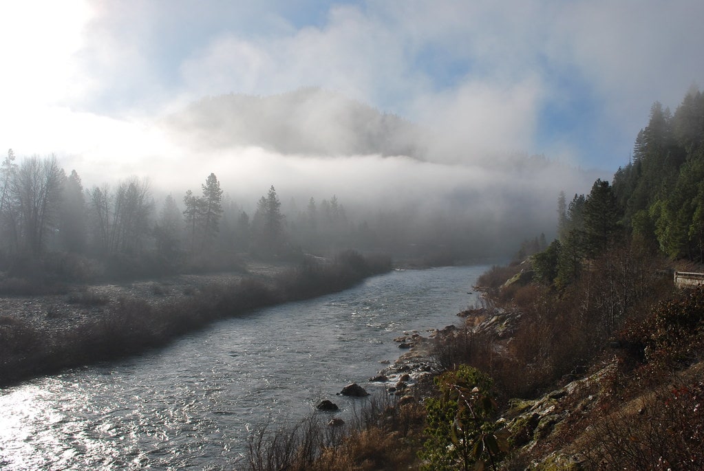 Río Klamath. Alga AFA